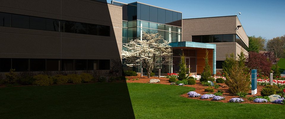 Burlington Landscapers