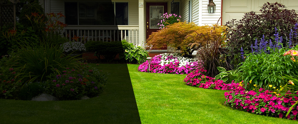 Burlington Landscapers