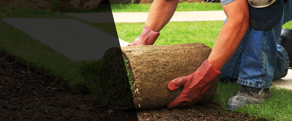 Burlington Landscapers